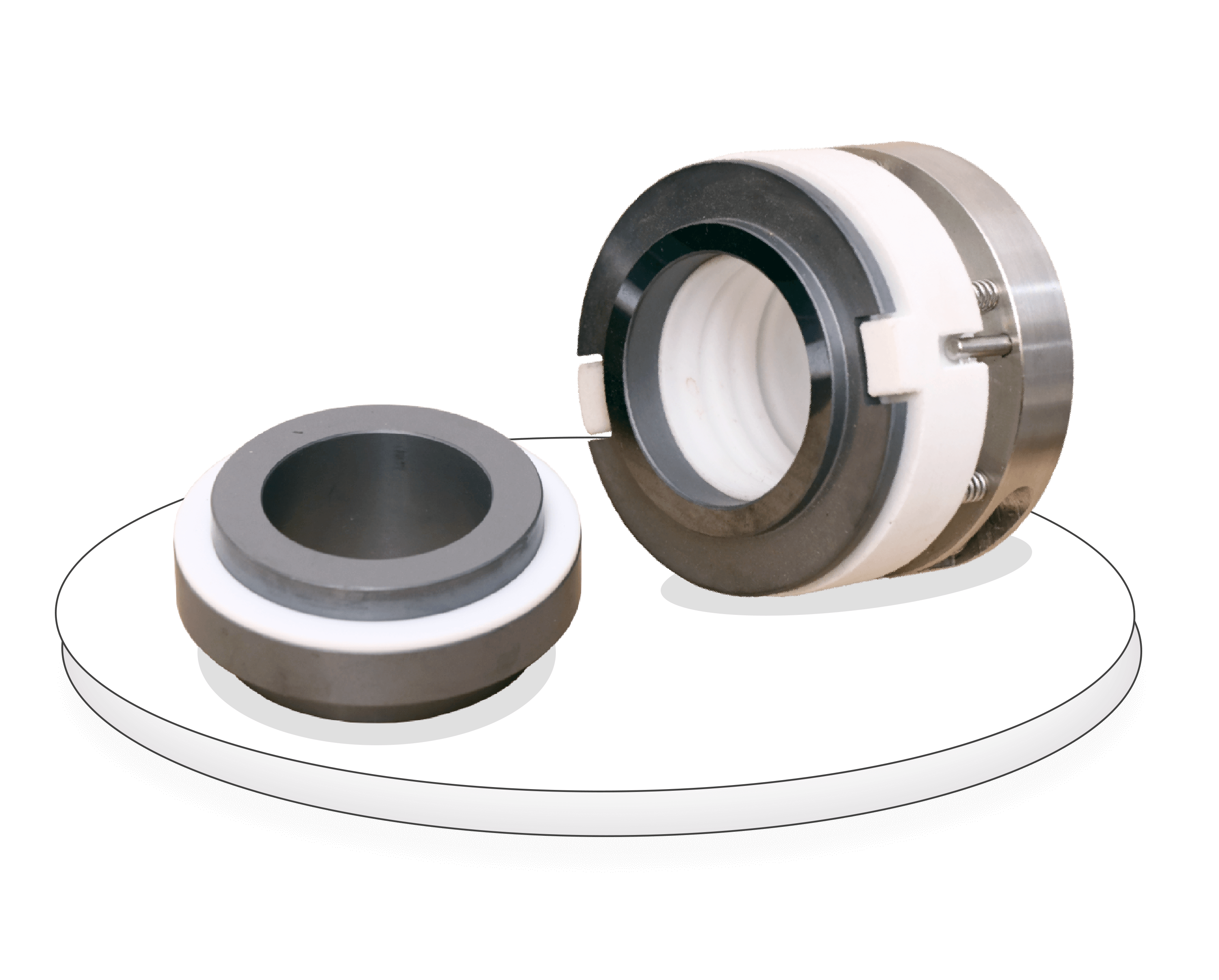 stbr-ptfe-bellow-with-replaceable-face-seal-proof-pumps